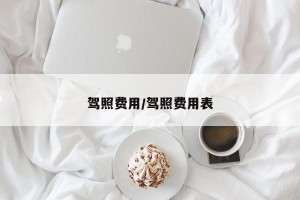 驾照费用/驾照费用表