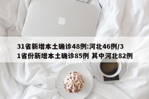 31省新增本土确诊48例:河北46例/31省份新增本土确诊85例 其中河北82例